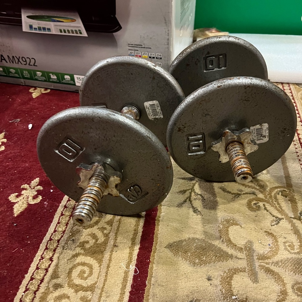 20 lb cast iron dumbbells